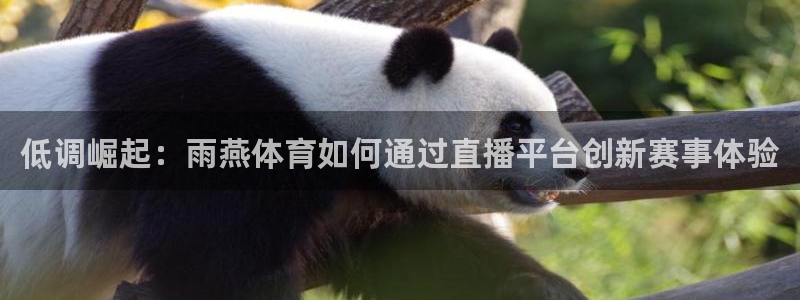 永盈彩票官网登录下载app,