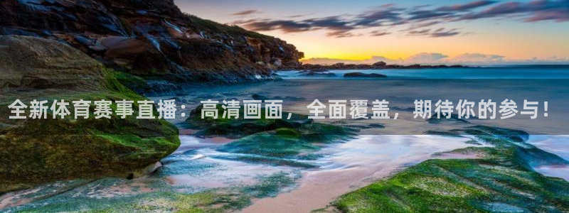 永盈彩票官网登录下载app,