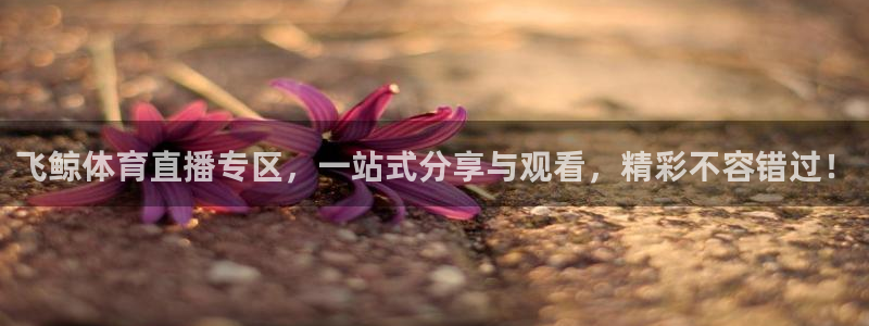 永盈彩票官网登录下载app,