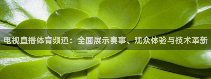 永盈彩票app下载安装