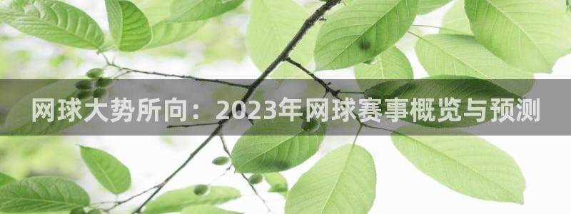 永盈彩票官网登录下载app,