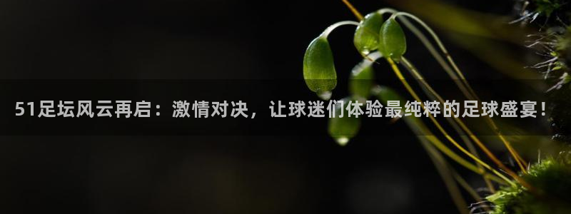 永盈彩票官网登录下载app,
