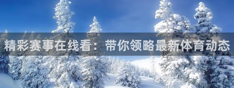 永盈彩票app下载安装