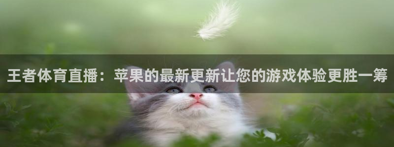 永盈彩票移动端下载