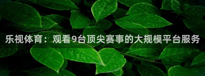永盈彩票官网登录下载app,